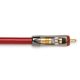 QED QE2453 QED REFERENCE Stereo cable EVOLUTION [2x RCA M - 2x RCA M] - 1.0m